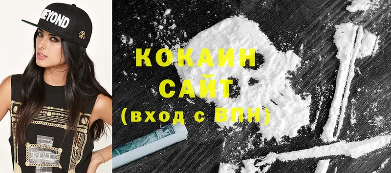 COCAIN Fish Scale  blacksprut как зайти  Гдов 